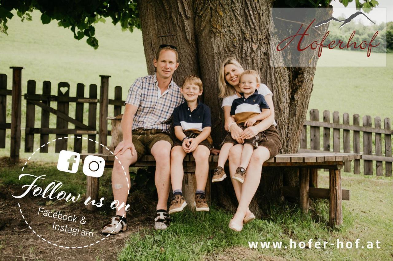 Hoferhof Schladming -Dachstein Holiday home